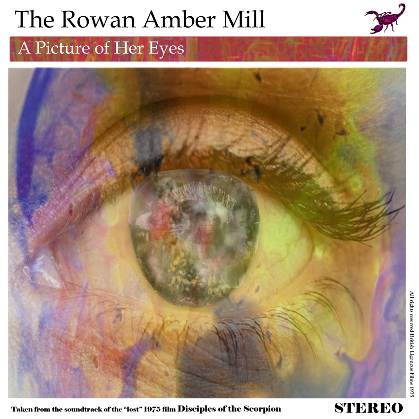 A Picture of Her Eyes - The Rowan Amber Mill
