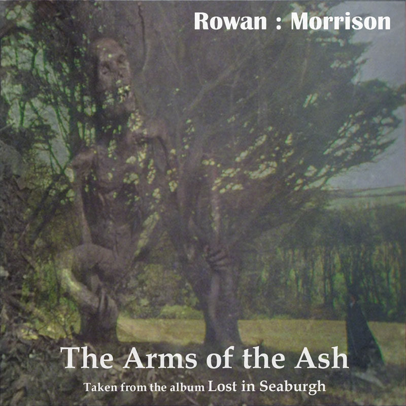 The Ash Tree by Rowan : Morrison
