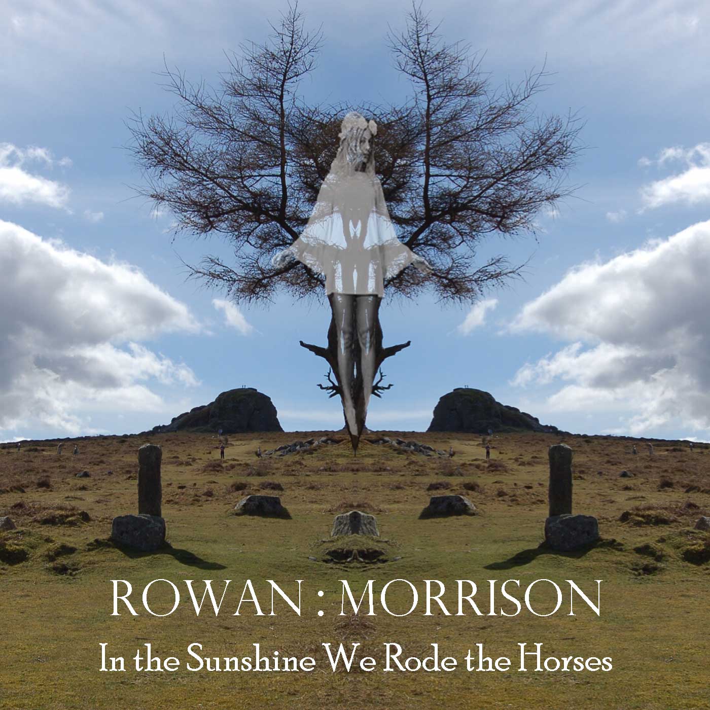 In the Sunshine We Rode the Horses by Rowan : Morrison