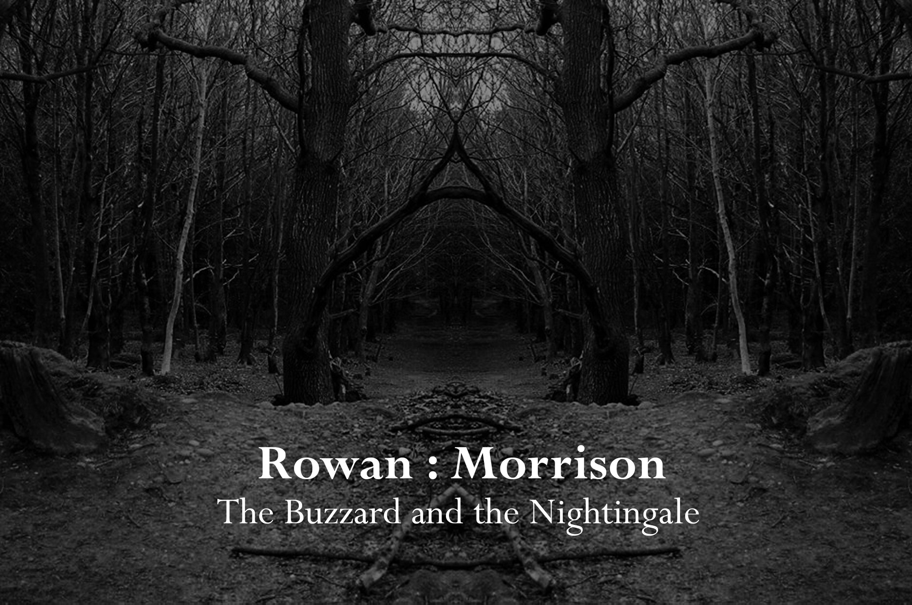 Rowan : Morrison The Buzzard and the Nightingale