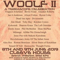 Rowan : Morrison live at Woolf II Music Festival