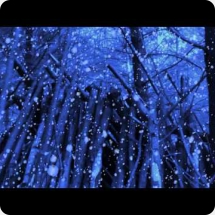 The Rowan Amber Mill and Angeline Morrison - Silent Night Songs for a Cold Winter's Evening (album trailer)